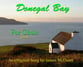 Donegal Bay (SSA) SSA choral sheet music cover